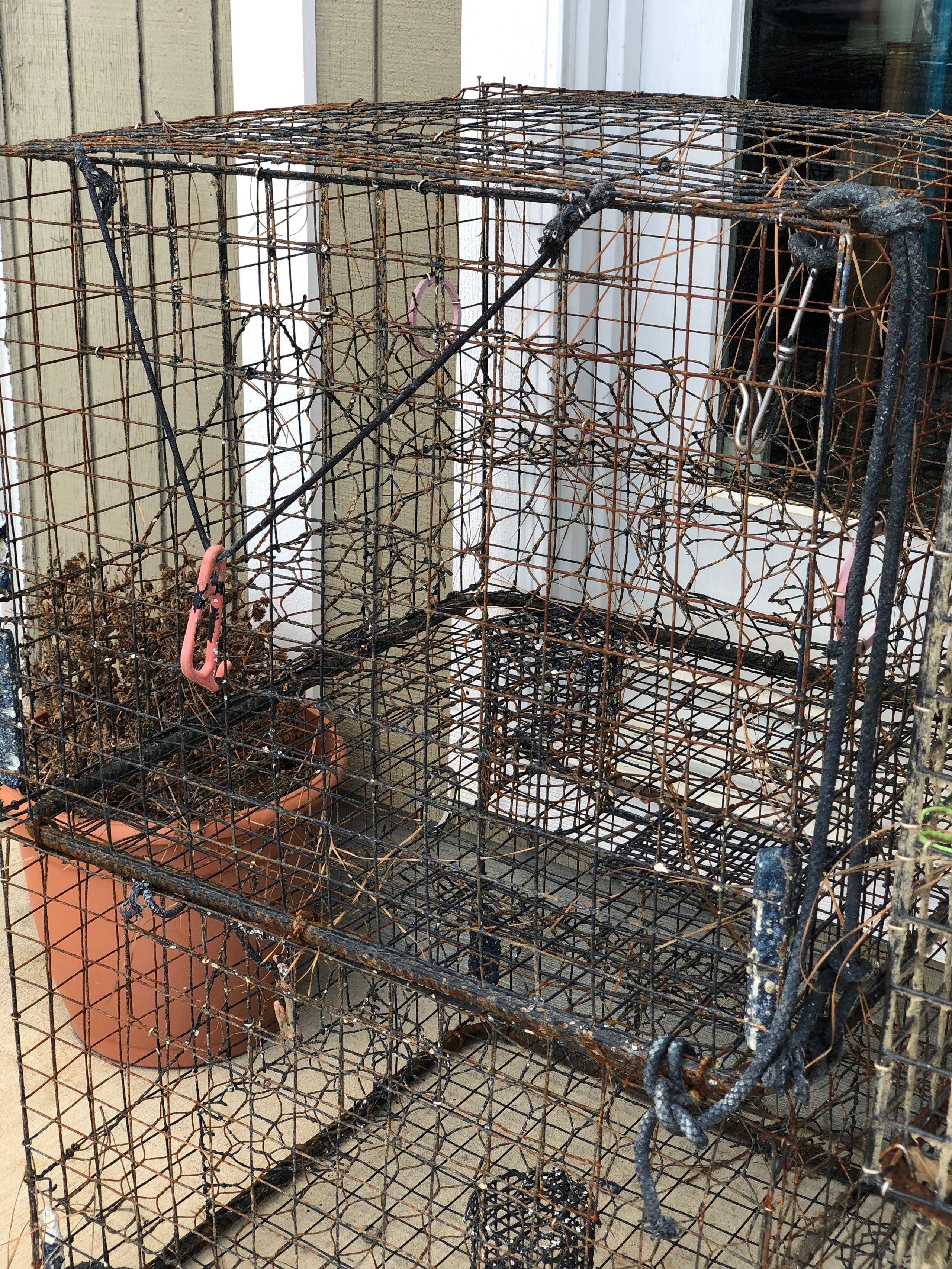 Crab Pot and Trap Rentals  Kent Point Marina & Seafood