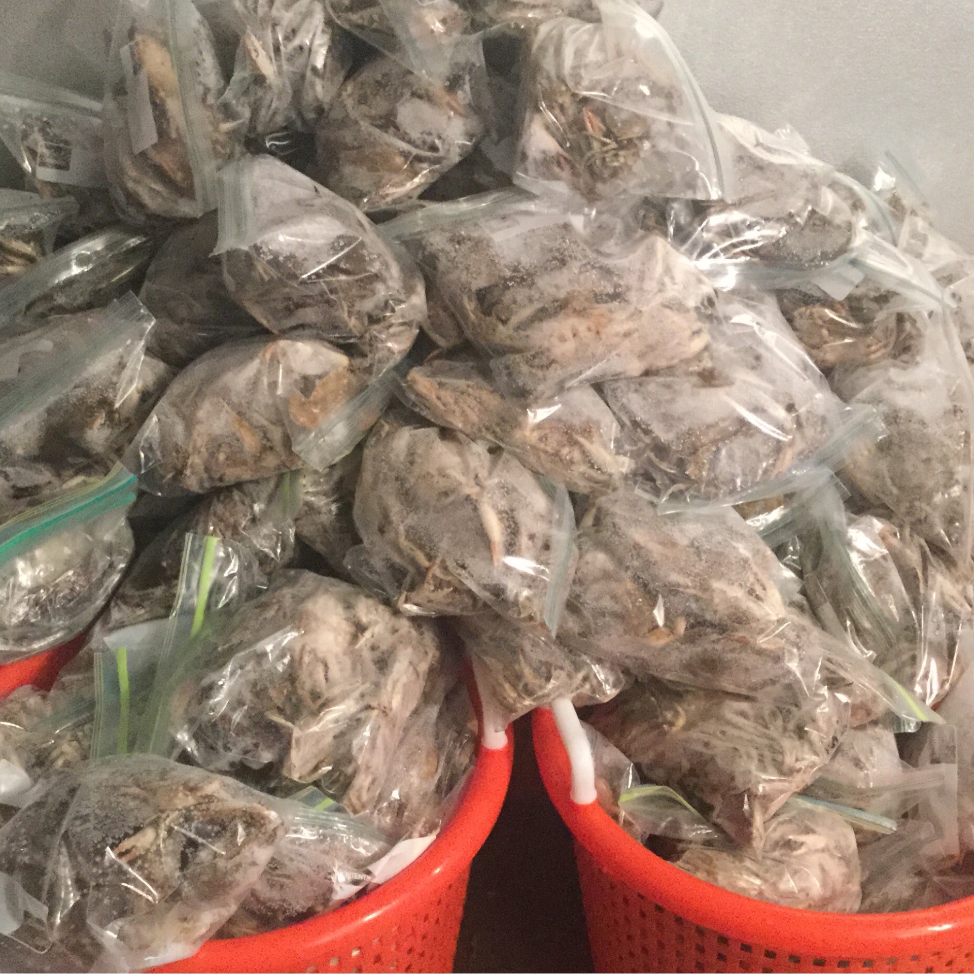 Crab Peelers for Bait Kent Point Marina & Seafood